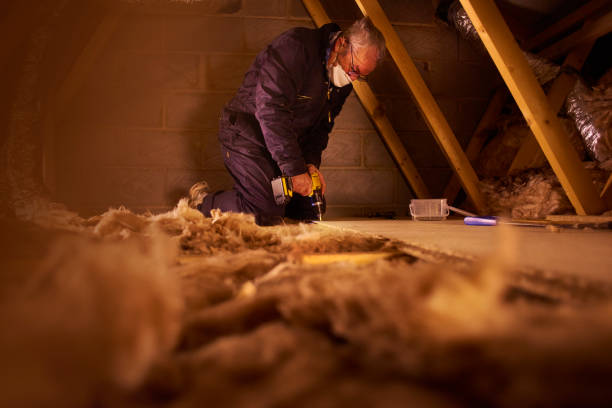 Types of Insulation We Offer in Wenona, IL